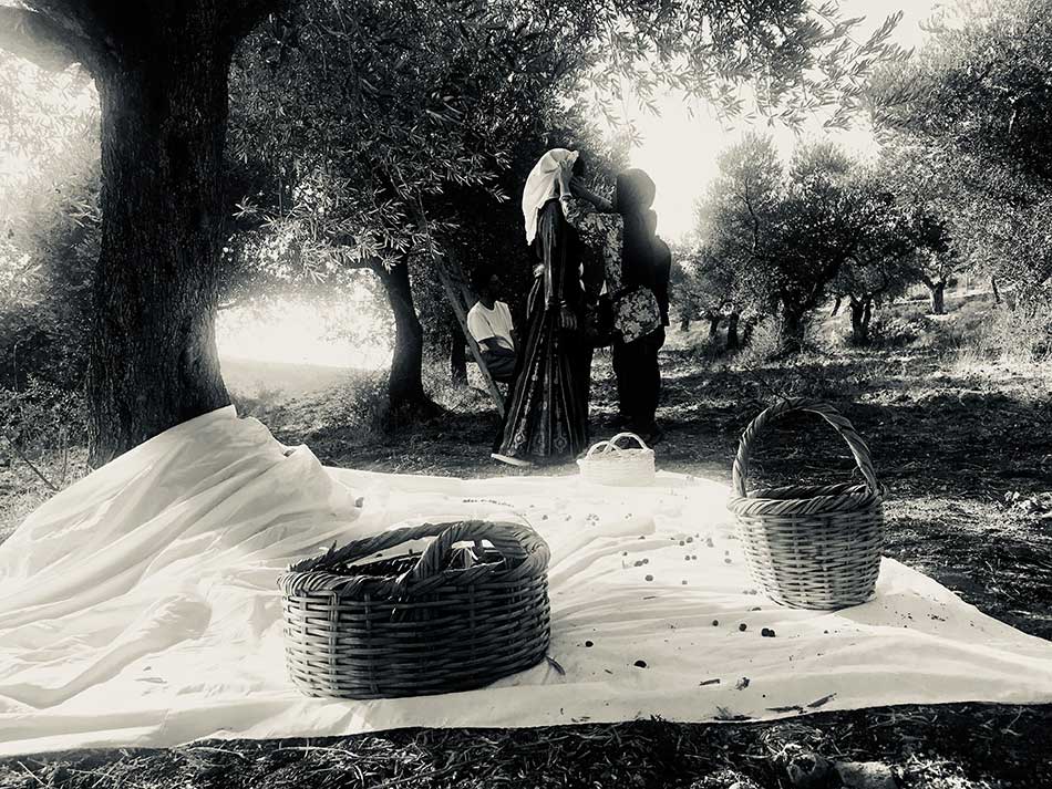 Padiglione Danese. Danimarca Biennale d'Arte 2019 a Venezia