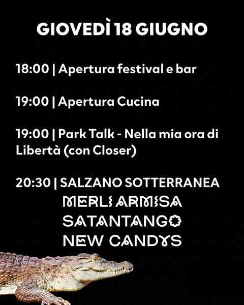 Programma del Summer Park Salzano Festival