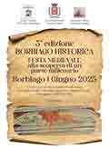 Festa Medievale - Borbiago