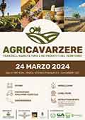 Carnevale di Cavarzere