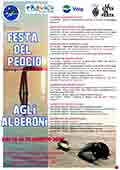 Festa del Peocio Alberoni Lido - Venedig