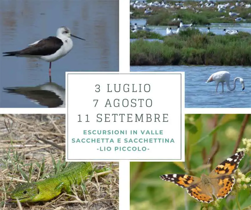 Escursioni in Valle Sacchetta Lio Piccolo