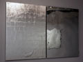 Mostra Rosslynd Piggott