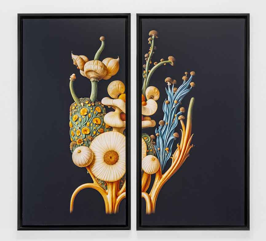 Mostra Human Gravity Venezia