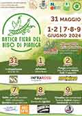 Festa dei Bisi Pianiga