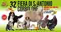 Fiera di Sant'Antonio di Corbolone