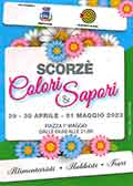 Colori & Sapori - Scorzè