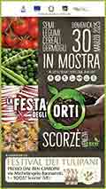 Festa degli Orti Scorzè