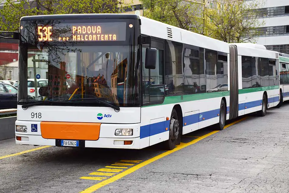 Autobus Linea 81E Actv  Cavarzere ⟷ Villaggio Busonera ⟷ Boscochiaro ⟷ Dolfina ⟷ Ca' Pasqua ⟷ Chioggia ⟷ Sottomarina