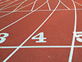 Campi di Atletica di Venezia e Isole e Terraferma